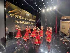 -小荧星艺校(大宁分校)