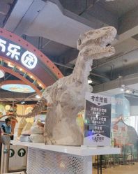 -卡通尼乐园(上海安亭店)