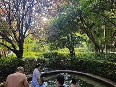 -郑州银基黄帝宫御温泉