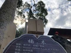 -都江堰普照寺