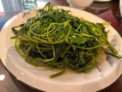 蒜炒空心菜-山城酒家(燕山路店)