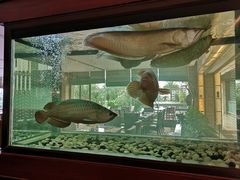 -厦门悦华酒店·绿庭主题自助餐厅