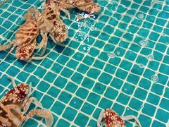 -三亚火车头万人海鲜广场