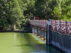 -广州白江湖森林公园