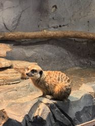 -Zoolung Zoolung动物主题公园(海信广场店)
