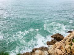 -广东惠东海龟国家级自然保护区