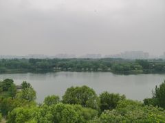 -西安浐灞国家湿地公园