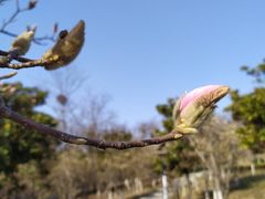 -浮山香苑