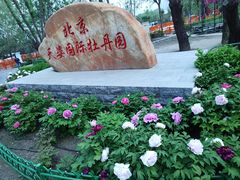 -太阳宫公园