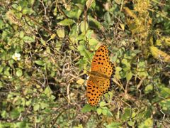 -东钱湖旅游度假区