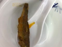 -巢湖名吃·徽府农家菜(半汤店)