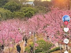 -狐尾山公园
