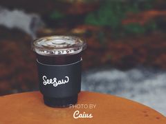 巴拿马唐佩佩冰滴-Seesaw Coffee(朝阳大悦城店)