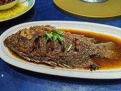 -三晋老田饸饹面(中大街店)