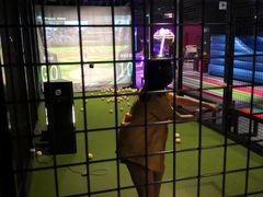 -VS SPORTS PARK运动玩乐园·团建·生日会(合生汇店)