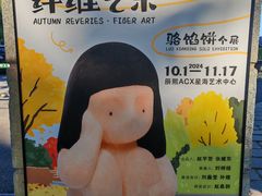 -辰熙ACX星海艺术中心