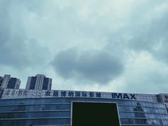 -农垦博纳国际影城(津奥广场IMAX店)
