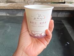 -咸宁万豪温泉谷度假区