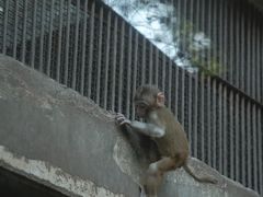 -柳州市动物园