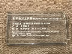 -自贡恐龙博物馆