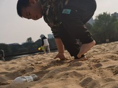 -青枫公园