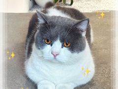 -seeu coffee(江滩店)