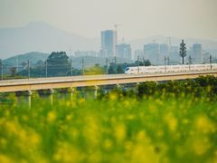 -光明小镇欢乐田园