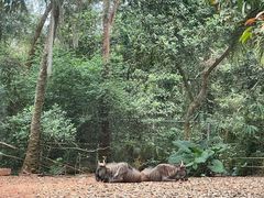 -海南热带野生动植物园