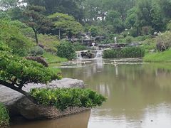 -东莞植物园