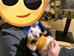 -平行世界·猫咖(首经贸店)