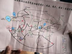 -武陵山森林公园