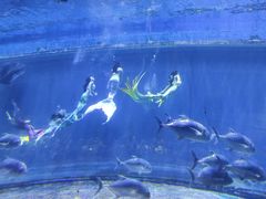 -华夏文旅西安度假区