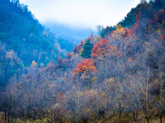 -冶力关旅游区