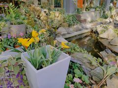 -谷咖啡·鲜花绿植花园餐厅