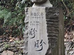 -都江堰中华大熊猫苑