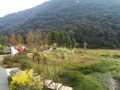 -广州市石门国家森林公园