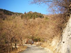 -北京鹫峰国家森林公园