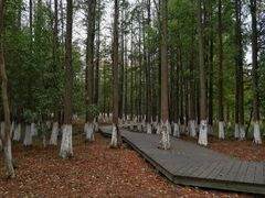 -艾溪湖湿地公园