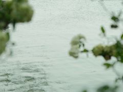 -漕湖湿地公园