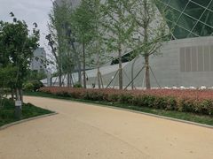-郑州大剧院