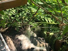 -猫的天空之城概念书店(苏州平江店)