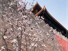 -东华门大街小区
