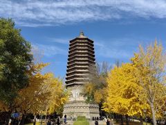 -玲珑塔公园