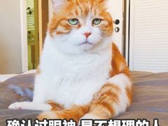 -骏骏牛肉粉店(吉庆街店)
