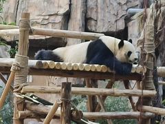 -灵玲国际马戏城