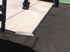 -莱茵体育生活馆