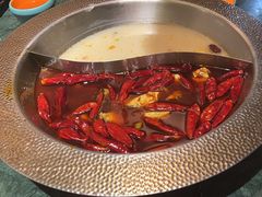 -麻田会 ·鲜活现烹·牛蛙火锅(珠江新城维家思广场店)