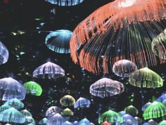-武汉5D星空错觉艺术馆(中心百货店)