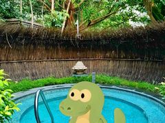 -广州从化都喜泰丽度假酒店温泉