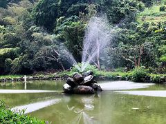 -瑞穗牧场